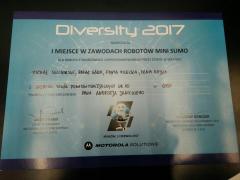 DIVERSITY 2017